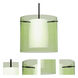 Pahu 12 LED Black Stem Pendant Ceiling Light