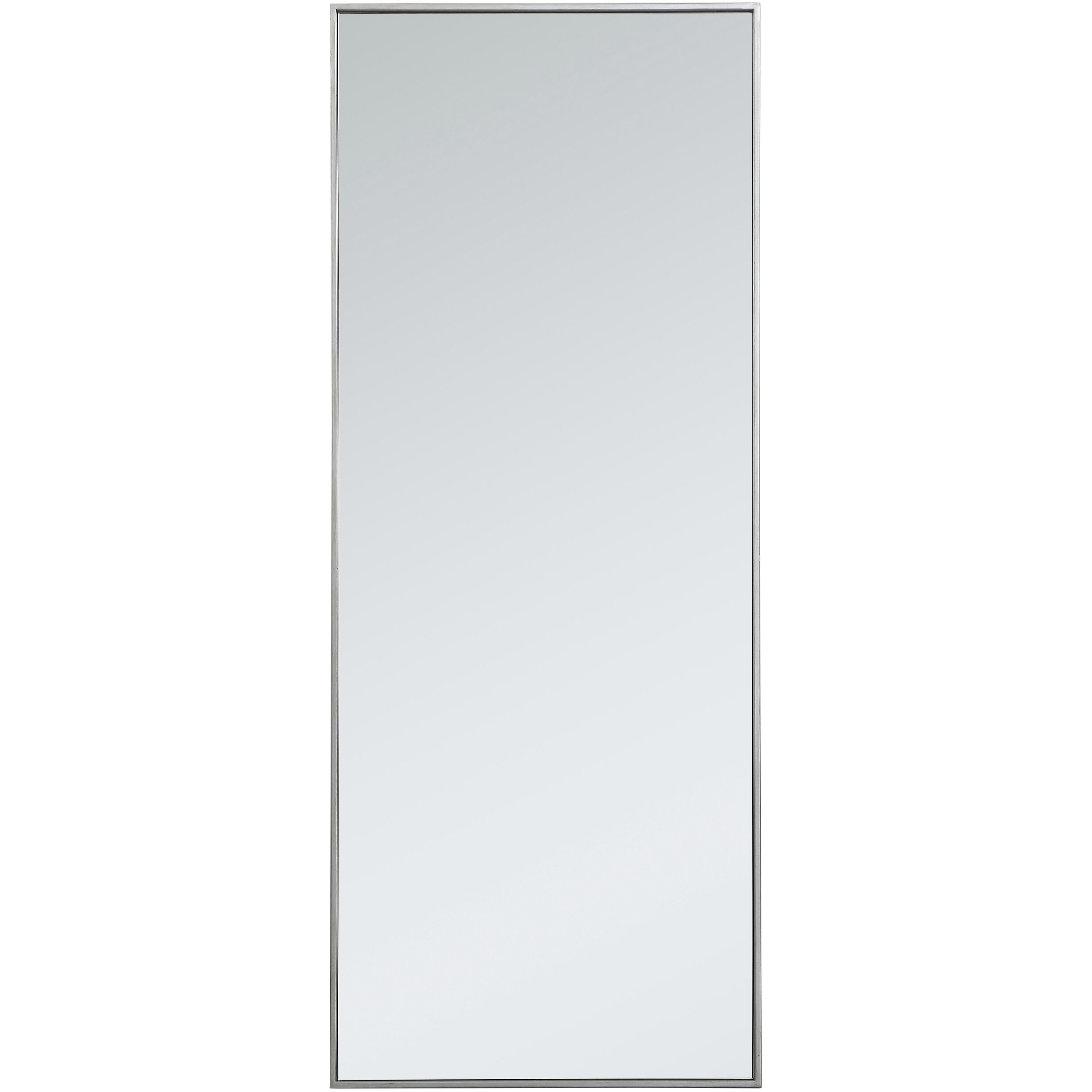 Monet 60.00 inch  X 24.00 inch Wall Mirror