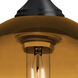 Omega 12 1 Light Black Cord Pendant Ceiling Light