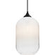 Omega 12 1 Light Black Outdoor Pendant