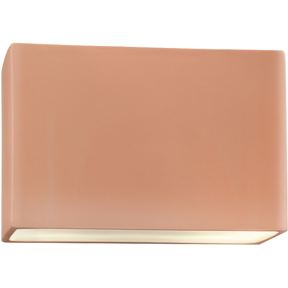 Ambiance Collection LED 10 inch Gloss Blush Outdoor Wall Sconce