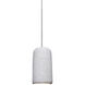 Glide LED Satin Nickel Cord Pendant Ceiling Light in Natural Concrete
