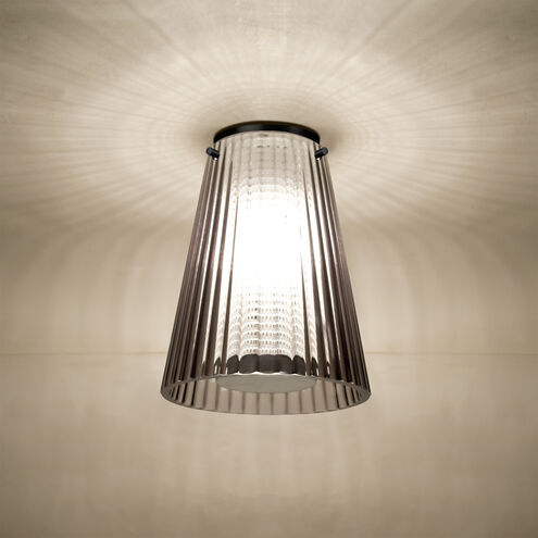 Dion 1 Light 6.13 inch Black Flush Mount Ceiling Light
