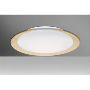Tuca 19 LED 19 inch Flush Mount Ceiling Light in Opal/Gold Foil Glass