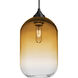 Omega 12 1 Light Black Cord Pendant Ceiling Light