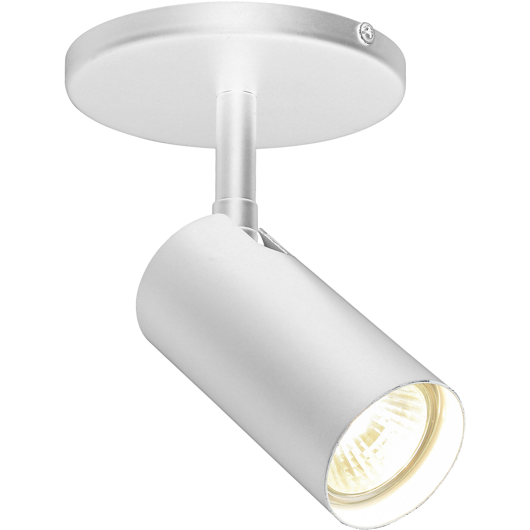 Stanly 1 Light 4.75 inch Spot Light