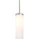 Friz 1 Light Pendant