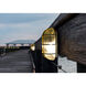 Togo 1 Light 9.5 inch Black Outdoor Sconce