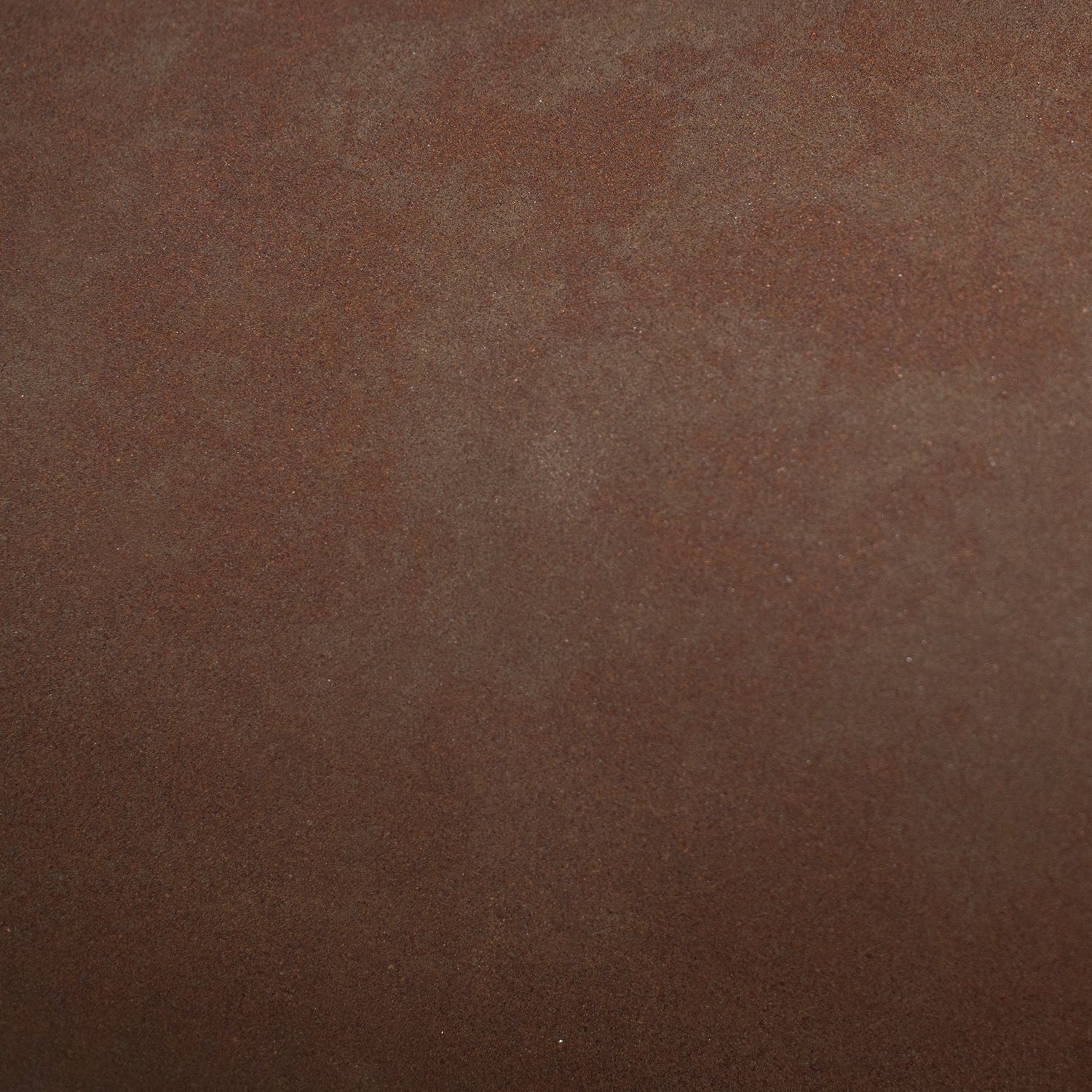 Ambiance Collection 1 Light Real Rust with Brushed Nickel Wall Sconce Wall Light