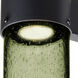 Juni LED 12 inch Black Outdoor Sconce in Moss Bubble Glass