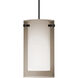 Pahu 4 LED Black Cord Pendant Ceiling Light