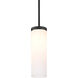 Friz LED Black Pendant Ceiling Light