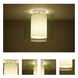 Pahu LED 12 inch Satin Nickel Semi-Flush Mount Ceiling Light in Transparent Olive/Opal Glass