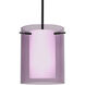 Pahu 8 LED Black Stem Pendant Ceiling Light
