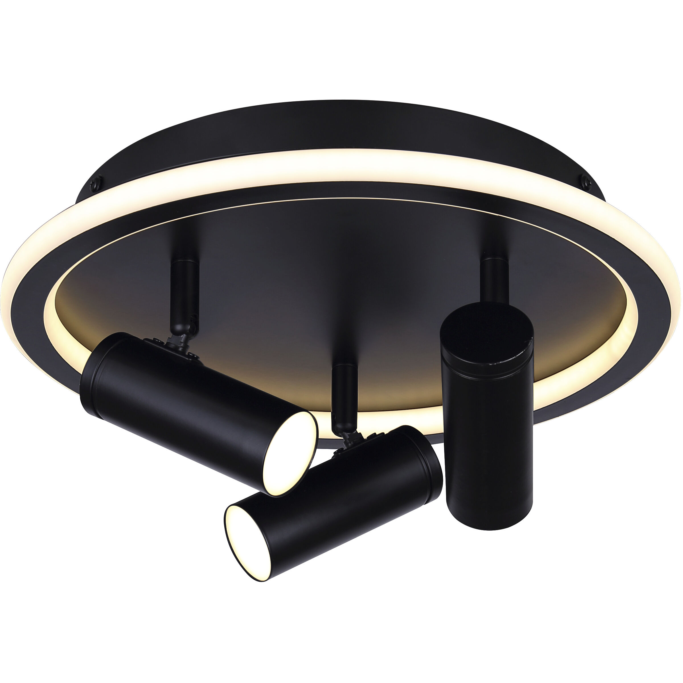Denver Black Track Lighting Ceiling Light
