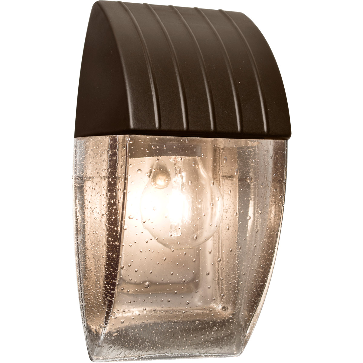 Aqua 1 Light 10 inch Bronze Outdoor Wall Sconce